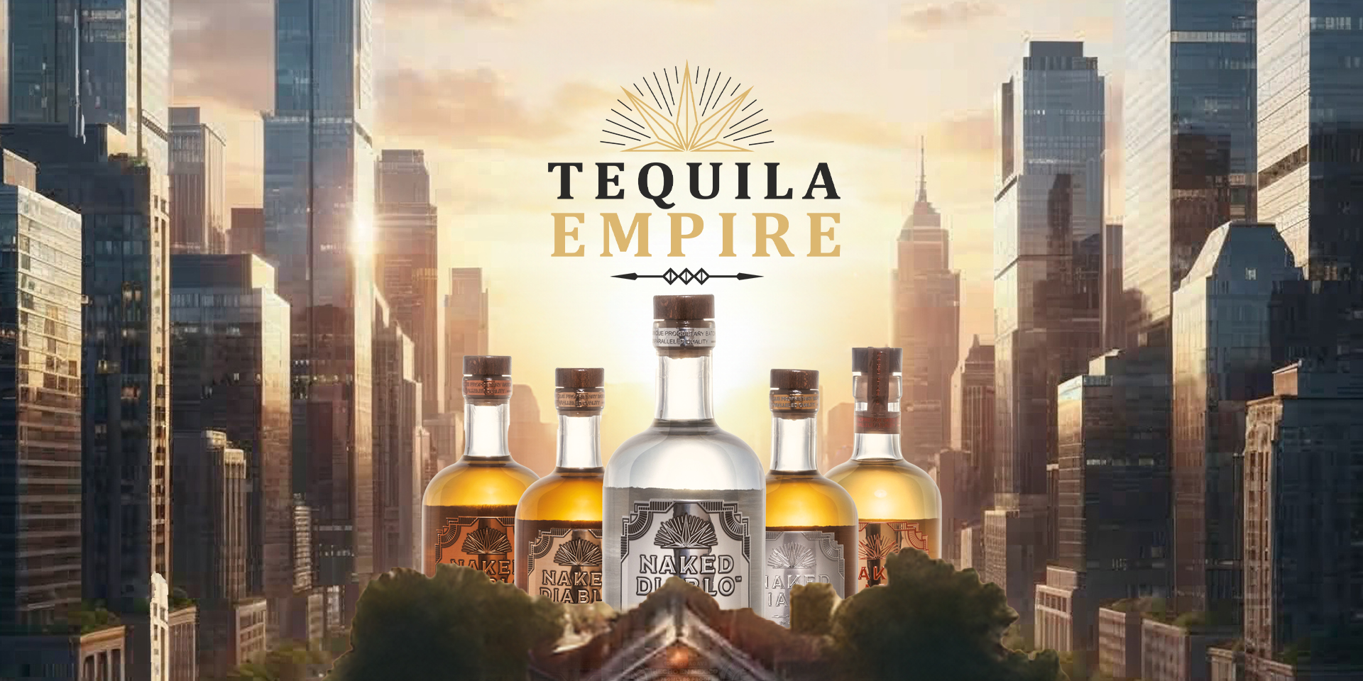 video-section-banner-image